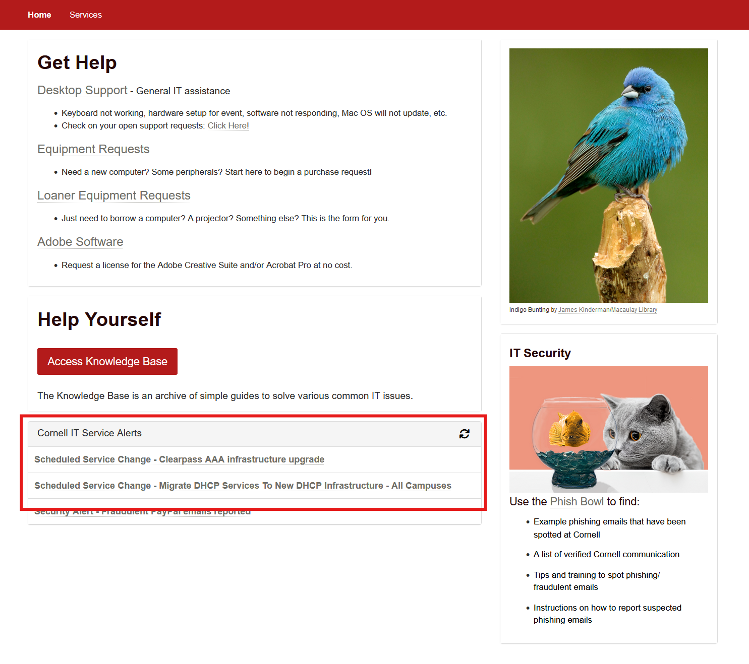 Lab of Ornithology service alerts